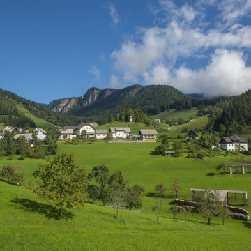 Pohištvo Alples privedlo do članstva Zelenega omrežja Slovenije