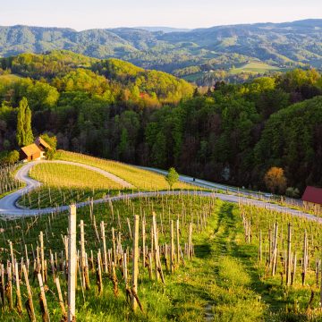 Pohištvo Alples privedlo do članstva Zelenega omrežja Slovenije